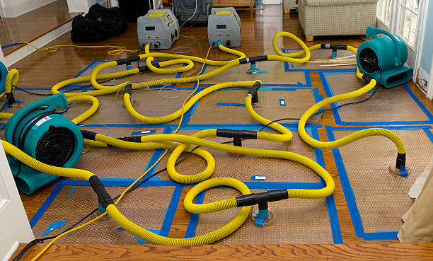Professional Crawl Space Water Removal technician working in Edgewater, NJ